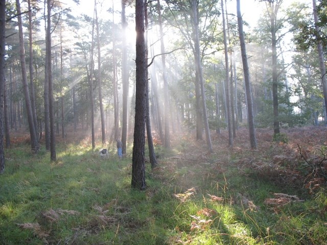 2007 10 Myco Pecqueuse 06